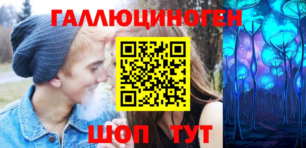 Псилоцибиновые грибы Psilocybine cubensis Нововоронеж