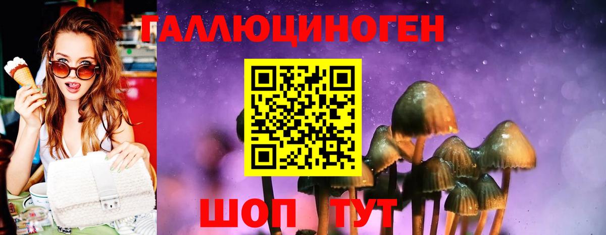 Псилоцибиновые грибы ЛСД  Вход с VPN  где купить наркотик  Нововоронеж 